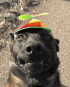 Profilbild