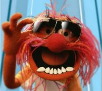 Profilbild