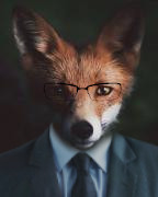 Profilbild