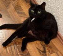 Profilbild