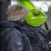 Profilbild