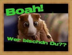 Profilbild