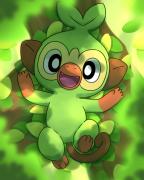 Profilbild