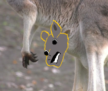 Profilbild