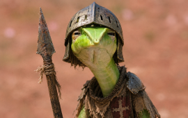 Profilbild