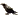 Pech