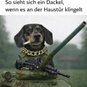 Profilbild